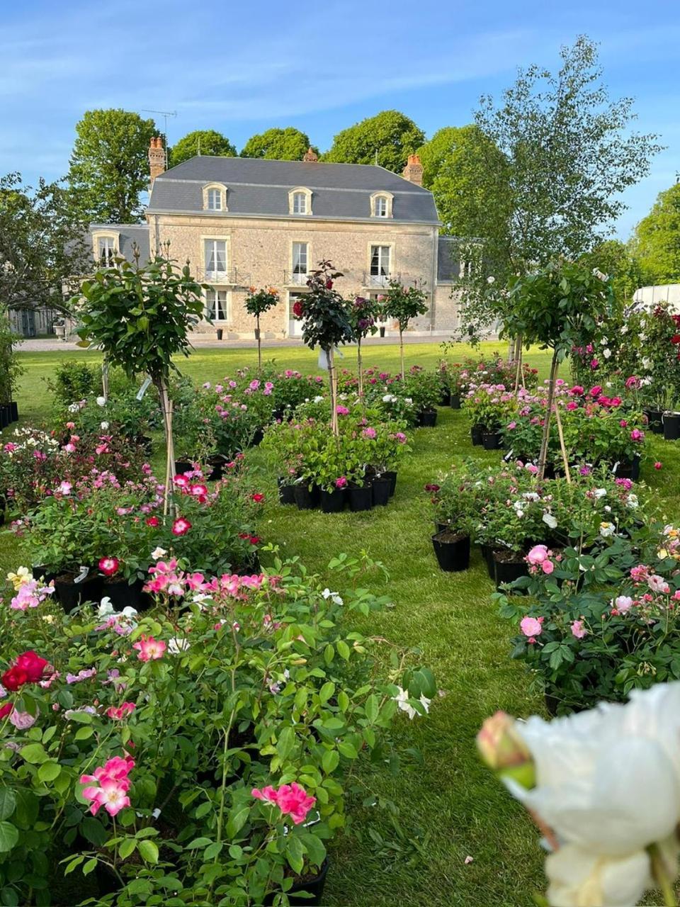 Le Manoir Du Ribardon Bed and Breakfast Neuvy-au-Houlme Exterior foto